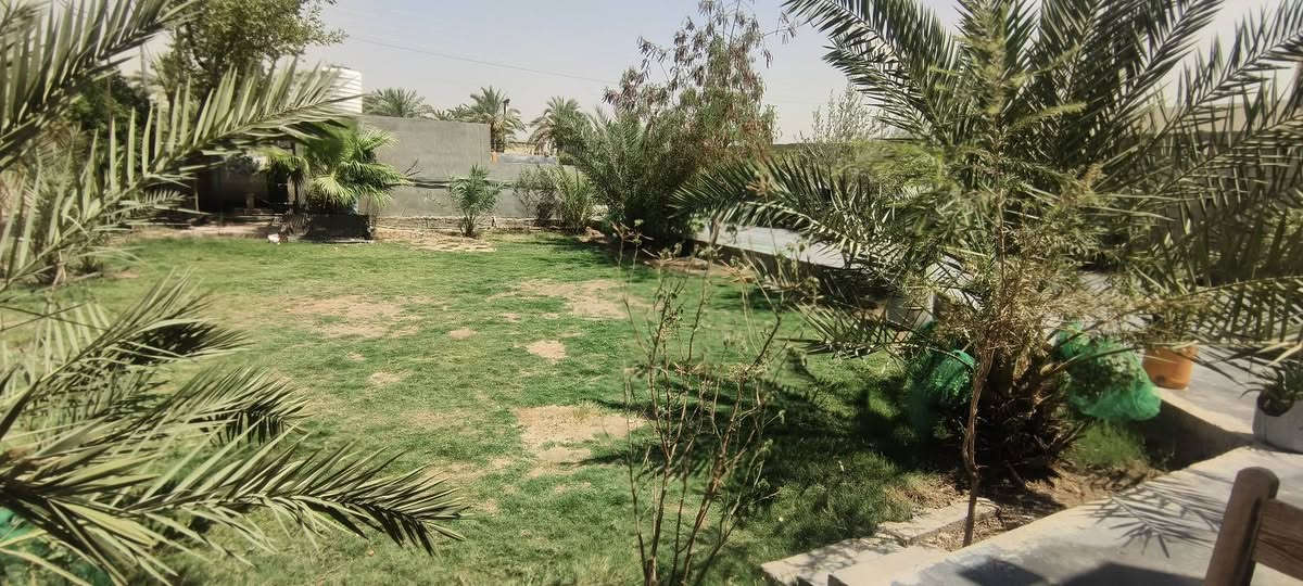 السلام عليكم يوجد دار للبيع مساحة نصف دونم كافه الخدمات كهرباء الماء مينقطع 
لبيت يحتوي على 3غرف نوم و صاله معه هول و استقبال 13 وحديقه كبيرة وكراج كبير بيت خير من الله مال عائلة كبيره ويوجد خلف لبيت ملحق صحيات ومطبخ ومخزن
الكائن موقعه بسمايه قريه عشرة داخل شارع قاعة الامام علي للمناسبات الاستفسار اكثر اتصل 
***********
