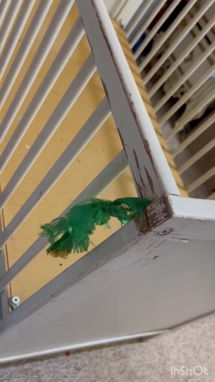 كاروك للبيع لي تريده تجي خاص


**إذا كنت صاحب هذا الإعلان وتريد حذفه لأي سبب، رجاءا أرسل رسالة إلى الدعم الفني**