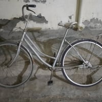 برخصة • بايسكلين • ديالى بعقوبة