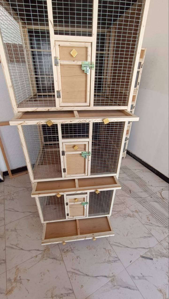 خانه دجاج القياس 60في 65 في 70  مستعدين توفير جميع خانات واقفاص الحمام بأنسب الاسعار وبجوده عليه حمام الزينه ودجاج الزينه  والقطط وكل انواع الحيوانات الاليفه  

***********
 واسط كوت حي الحكيم نزلت مستوصف الحياة
