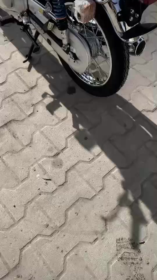 السلام عليكم نامه شلامجه ايراني اصلي مو صيني اوراق ستنساخ موديل26 صارلها 40 يوم من طالعه من المعرض وياها جادر وجنطه ومرايات السعر مليون وبيها مجال بسيط شراي تشلع عيوني مو شراي لا تراسل ولا تسال دراجه بعدها بلجيس سحك مضبوط نفس فول الثاني يدك85 
ملاحظه!!!! مكلف بلنشر فقط اي استفسار اتصال بصاحب الرقم  ***********
الدراجه بلمسيب
