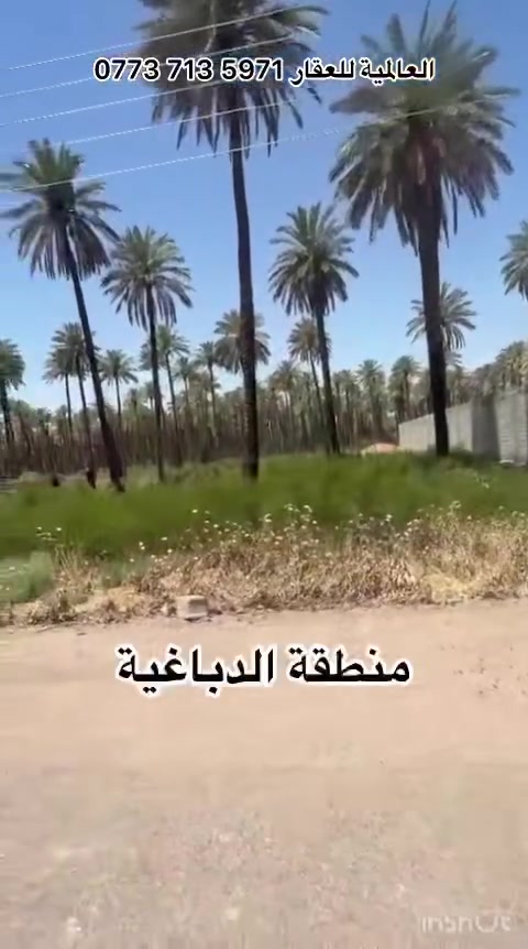 🔥 فرصة لا تتكرر في الراشدية - الدباغية 🔥
تبحث عن موقع يجمع بين السكن والاستثمار
🌴 دونم ملك صرف�📍 الراشدية - الدباغية�📏 واجهة 40 متر�📏 نزال 62 متر�💧 ماء وكهرباء متوفر�🏡 سكني 
مكان هادئ وطبيعة مميزة 
💰 السعر: 325 مليون دينار
📞 للتواصل: ‭***********‬
