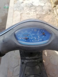 ماكس منغولي • جديده • مشي قوي