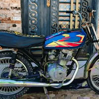 ايراني • مكفوله • دبلات جدد