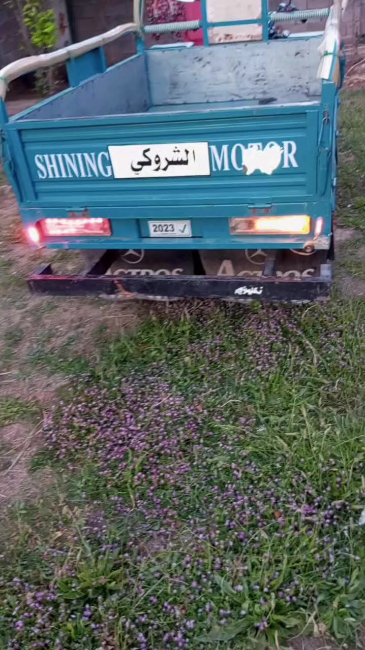 سلام عليكم شباب هاي 23 سنويه للبيع شراي ‏‪***********‬‏يدلل
