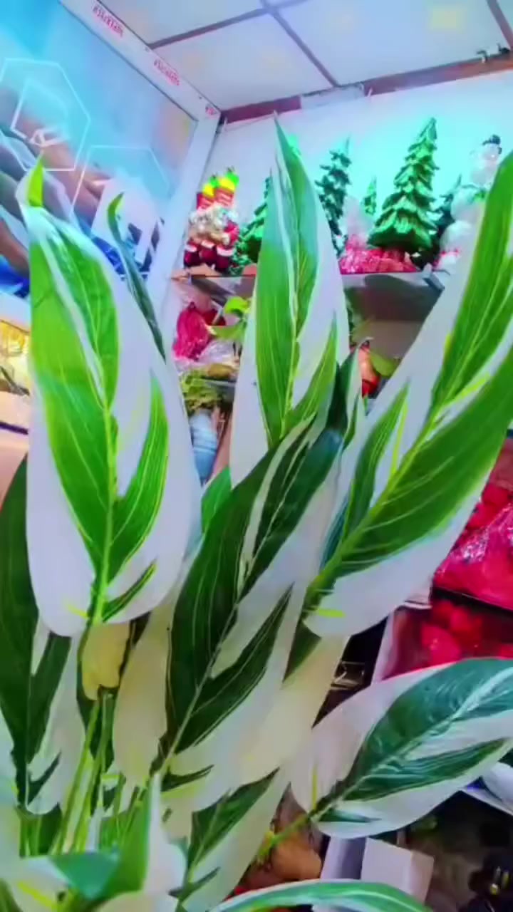 💐💐💐💐


**إذا كنت صاحب هذا الإعلان وتريد حذفه لأي سبب، رجاءا أرسل رسالة إلى الدعم الفني**