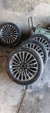 تخم ويل بلادي • صيني درجة اولى • الحبانيه