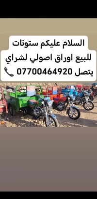 ستوتات • اوراق اصولي • مكمركه