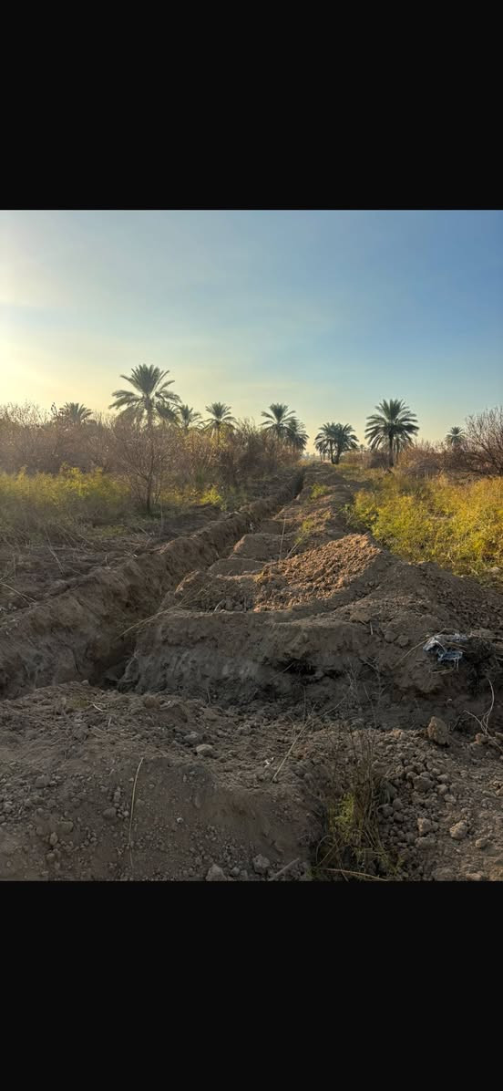 السلام عليكم
أراضٍ للبيع (ملك صرف – سند 25)
📍 الموقع: شاطى التاجي – المزرفة
⚡ الخدمات: ماء، كهرباء
🛣 الشارع: تبليط
📝 التحويل: مباشر بدون دلالية أو وسيط

📐 المساحات المتوفرة:
• 250 م²
• 500 م²
• 1000 م²
• 2500 م

☎️ اتصال أو واتساب

***********
***********
