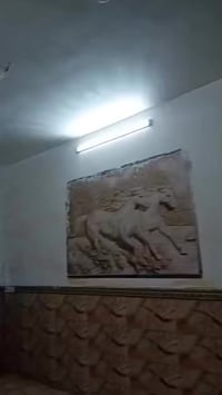 المحمودية حي ١٦ • ملك صرف • ١٠٠م