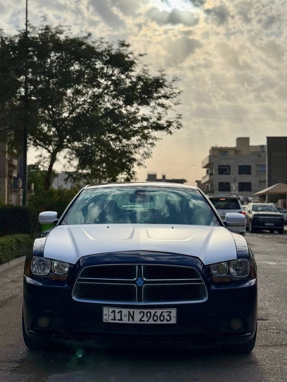 سلام عليكم اتصال فقط !
السلام عليكم 

جارجر 2014 اصل رقم بغداد جديد الدولي بسمي

حادث فقط.خشم البنيد 

يعني بس البنيد مصبوغ قطعه وحده 

وصور الحادث ولسونار كدامك بل منشور 

مكينه 3600 مكفوله من الفتح 

كذالك الكير مكفول من الفتح 

هزه جديده 

كير عصه

ويل كب 

منظومه تبريد جديده +قطعتين تبريد

شاشه بلاد

بصمة بيبان + بصمة تشغيل

صدر جديد امامي خلفي + باتري جديد 

السياره جاهزه كل نقص مابيه

السعر (148) وبيه مجال بسيط.

مكانه بغداد

الشراي يتصل  

***********
