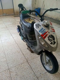 ماكس منغولي • معدل ٥٥ شلعه • ناصريه السبل