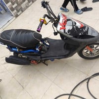 ماكس عدله • ٥٠ • كلجات رياضي