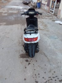 دراجة فراشة • نجف • مفتوحة