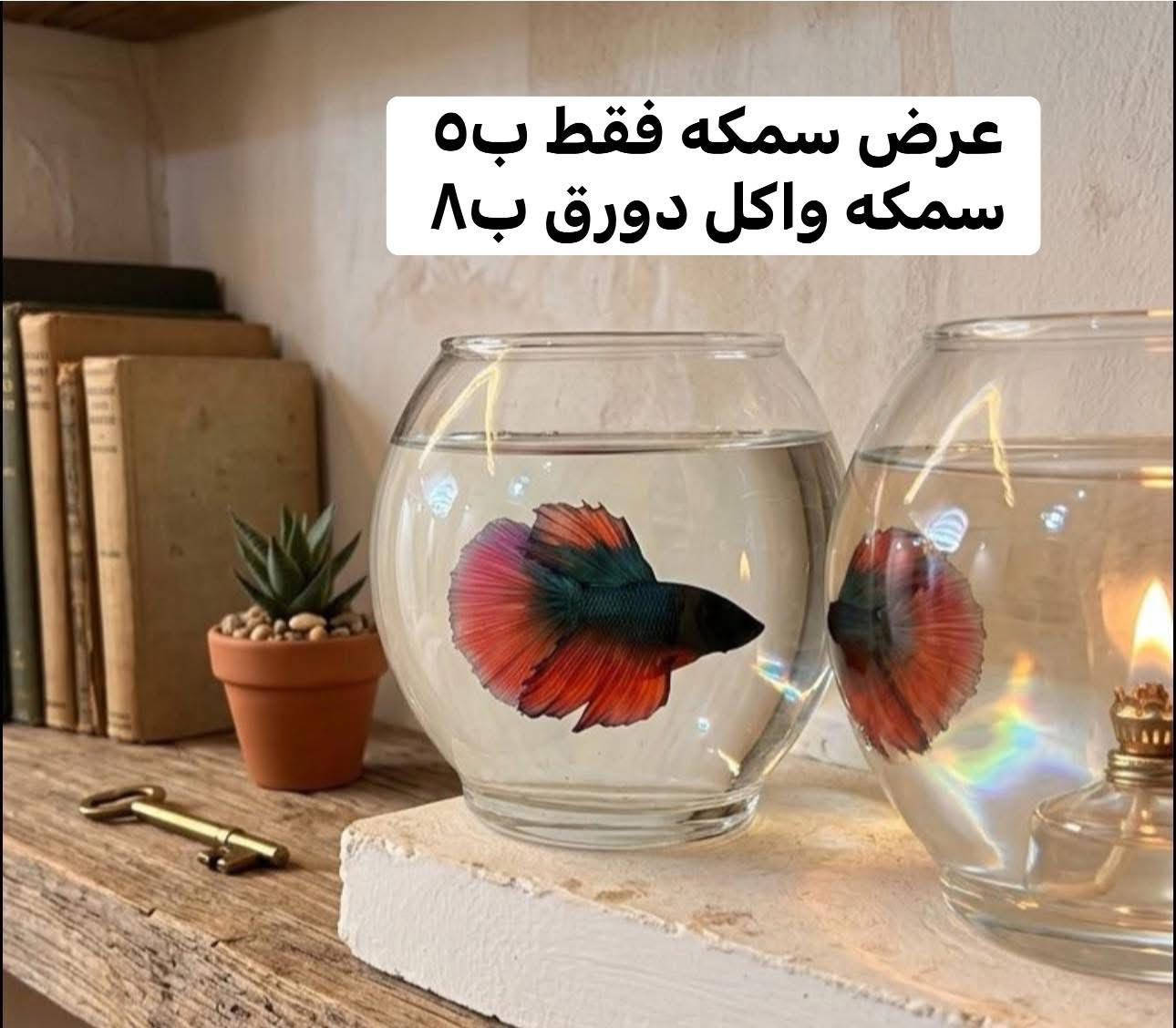 ❤️بنات توصيل الف لكل البلوكات شكد ميكون حساب الطلب توصيل الف يكون ❤️

🎶البلاستك والمنظفات. يمي كلشي متوفر. 

🩵عرررض سمكه وحدها ب٥ 🩵الوان 

💜سمكه دورق اكل. ب٨ 💜

🚫مينا اليفه صغيره السعر ٣٥ 🚫

ملابس. وكوزمتك. 

الاسعار ثابته الفحص بوجود المندوب فقط. ❌

💯بعد ذهاب المندوب لايبدل ولايرجع 💯

الي عليكم ادزون الصور + العدد =يوصل الباب الشقه ❤️

👌🏻 وعروضنا مستمره يوميه 👌🏻

💕هذا واتساب ***********💕

(اورزدي بسمايا) احلى الاسعاررررر🌹
