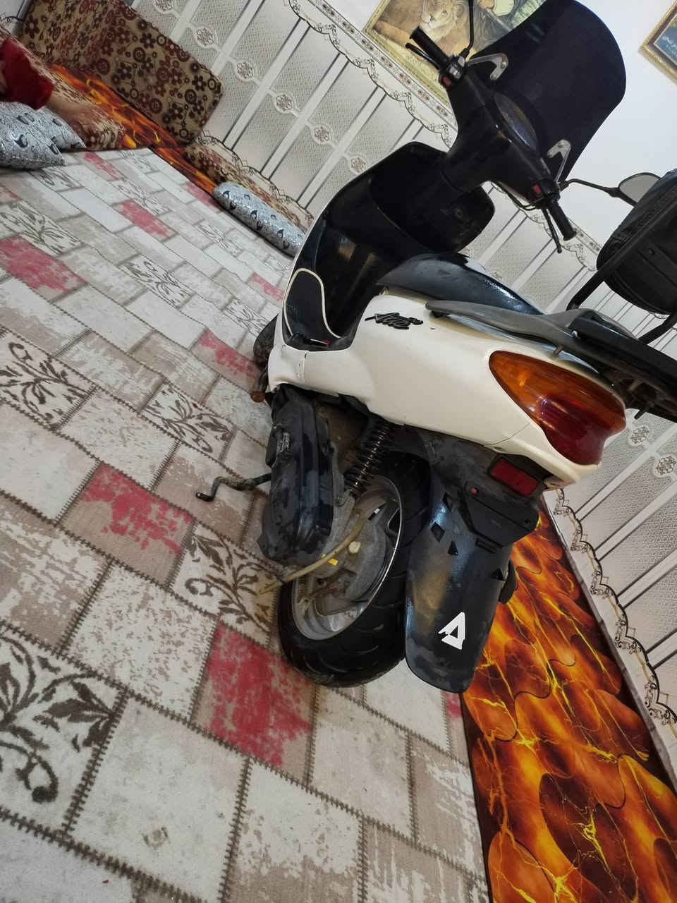 دراجه دولفين جديده كارتون ***********
