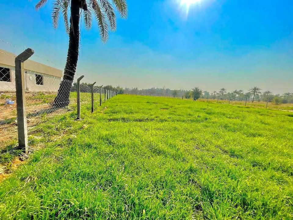 🎉 تخفيضات مذهلة من شركة الرصينه للعمل الاسيجه البيارسي تبدأ من 5500 دينار فقط حتى 10500دينار!
***********//***********
🔧 خدماتنا:

إنشاء أسوار B.R.C بجميع أنواعها، الأحجام، والقياسات.
متوفر جادر وبدون جادر بالإضافة إلى السياج العشبي.
استخدام بوري مغلون وحديد بأعلى جودة.
🏢 نحن مستعدون للعمل مع دوائر الدولة، المتنزهات، ونقدم خدماتنا في جميع محافظات العراق.

📏 ملاحظات هامة:

سعر المتر لسياج B.R.C يتم احتسابه بالطول وليس بالمربع.
السياج العشبي يُحتسب بالمتر المربع.
الأسعار تختلف بين المساحات الصغيرة والكبيرة.
💼 تميزنا في الدقة والمصداقية، ولسنا الوحيدين ولكننا الأفضل! 🌟

تابعونا على البيج لمزيد من التفاصيل حول أعمالنا المنجزة، وتواصلوا معنا على مدار الساعة للاستفسارات والمزيد من المعلومات.

📞 للتواصل: ***********يتوفر واتساب
 ***********
📍 ملاحظة: عند مراسلتنا على البيج، يرجى ذكر عنوانك بالكامل وعدد الأمتار المطلوبة.

✨ سارعوا بالاتصال الآن واستفيدوا من عروضنا الخاصة! ✨
