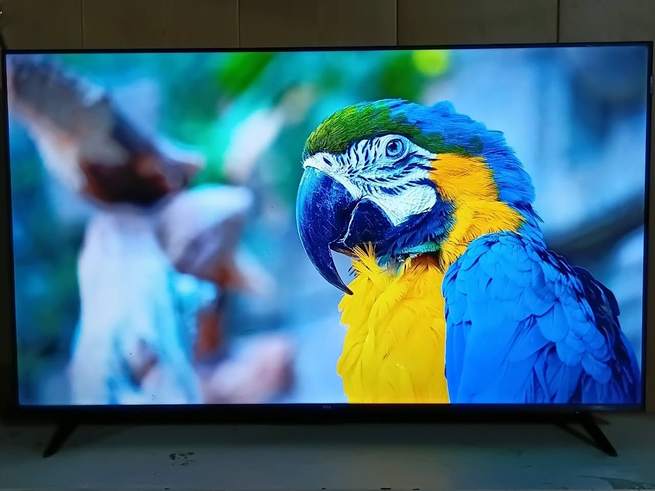شاشه TCL  حجم 50 مستعمله شهرين فقط نظيفه جدآ وضمان بيها
السعر 350 الف 
مع برامج كرة قدم أفلام ومسلسلات كامله 
أتصال ***********
أو مراسله على خاص
