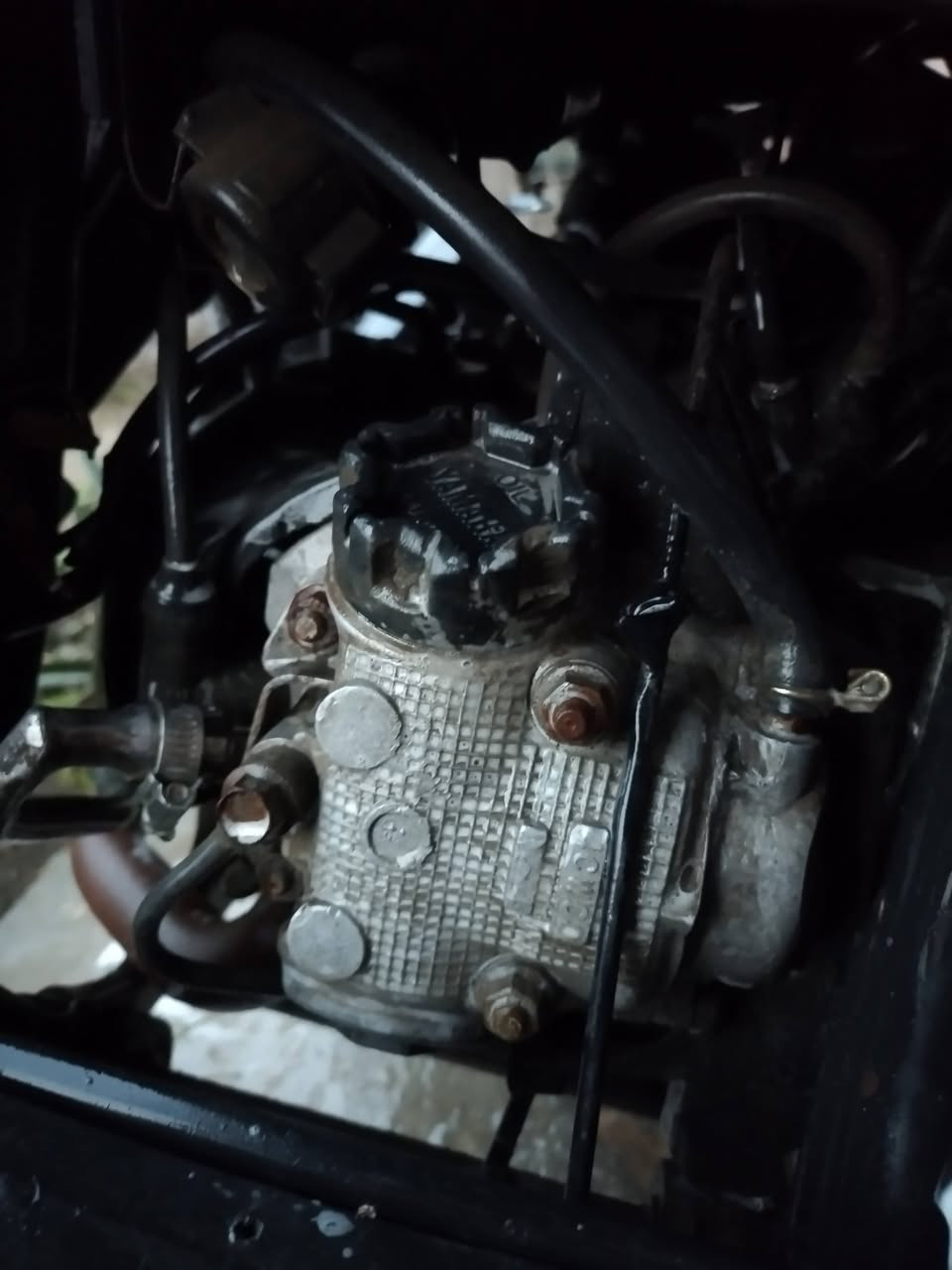 فراشه فحل للبيع كايمه 150 بيها مجال قليل  حك جيه فقط
عنواني حله مركز مدينه.. متواجد خاص 👍🏽.


**إذا كنت صاحب هذا الإعلان وتريد حذفه لأي سبب، رجاءا أرسل رسالة إلى الدعم الفني**