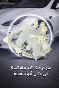 عنكبوتية ماء • دكان أبو سعدية • تيك توك