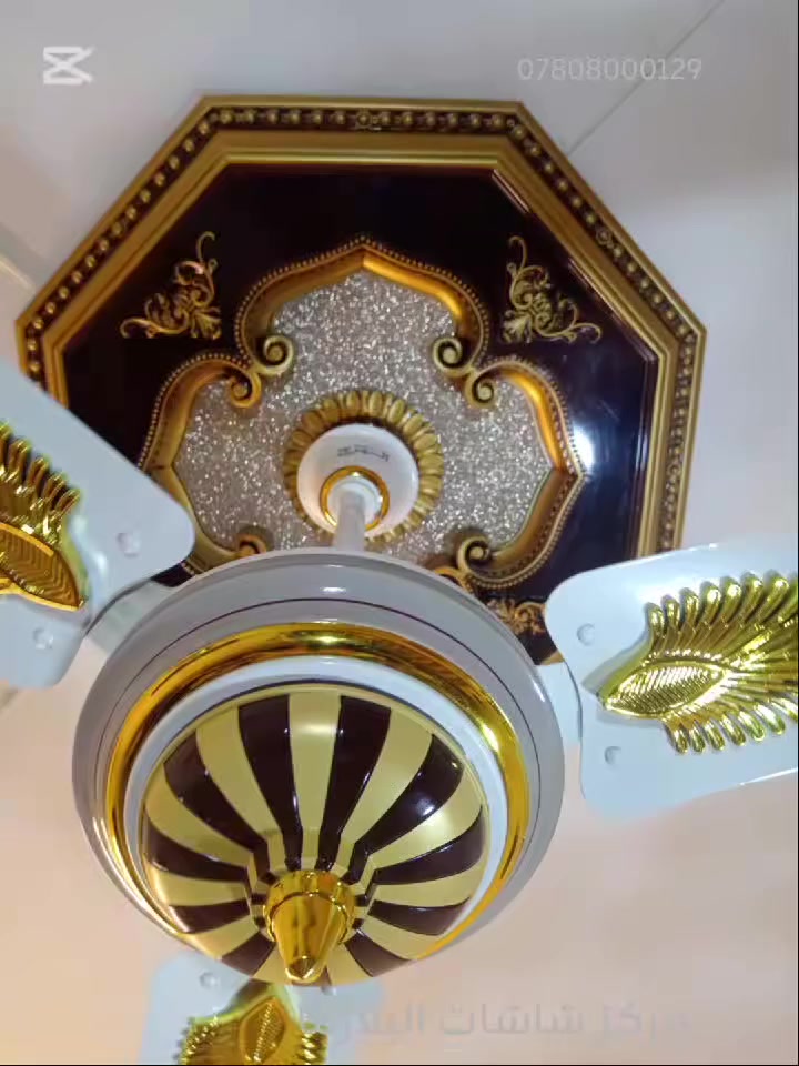 مروحه طلقه باكستاني اصلي 💯
ملف نحاس 💯
دبل بولبرين سريعه جدا
سعر المروحه 35 الف
توصيل 5 الف جميع محافظات العراق🚐🚐🚐
للحجز والاستفسار يرجى مراسلة الصفحة
***********☎️☎️☎️
***********☎️☎️☎️
