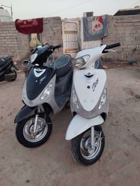 دراجات ماكسات • منغولي 49 • ختم واحد