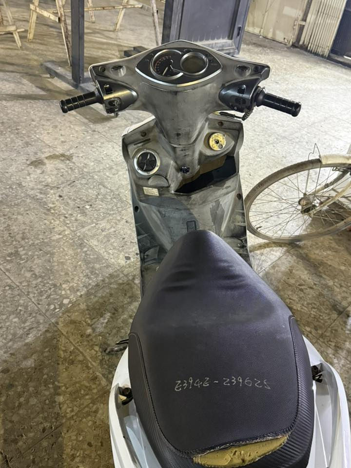 فحل للبيع شغاله بس تاخر شىيه ويرادلهه تبديل كامشفت سعرهه 450  مكاني بغداد / سبع ابكار ***********
