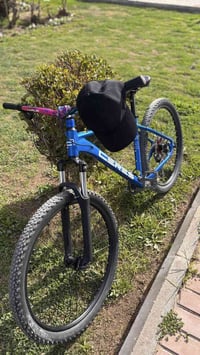 بايك • نظيف • ستيرن سبع ألوان