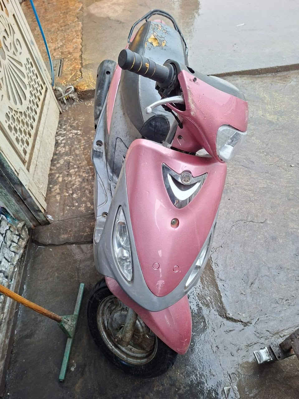 البيع ماكس منغولي كلها بلاديه مكاني العامريه ***********
