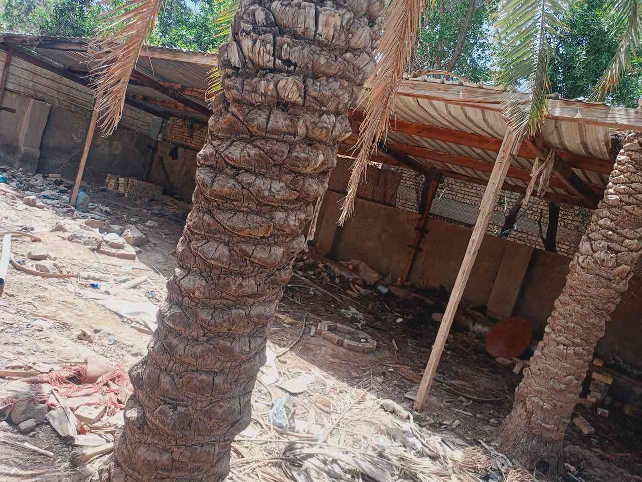 بيت للبيع قضاء المدينه منطقه الحمود مساحه 1600 طابقين سبع غرف طابق لاول 4والثاني 3 بناء قديم ومرمم طابو زراعي منطقه مجاري وتبليط وارصفه وركن  لاستفسار +9647808700575
