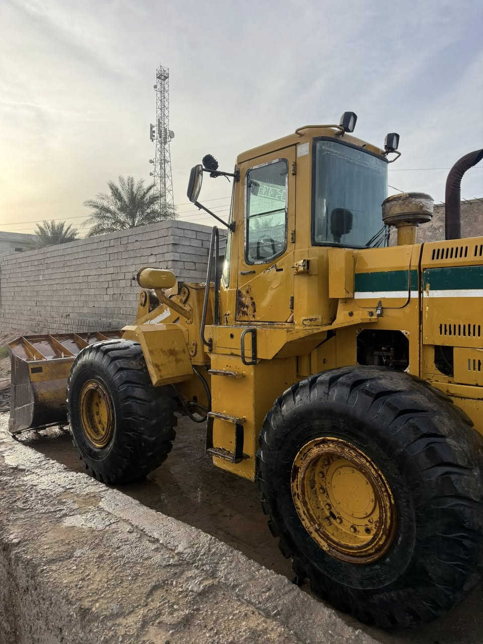 شفل كاوسكي 80وارد أمريكي ***********
