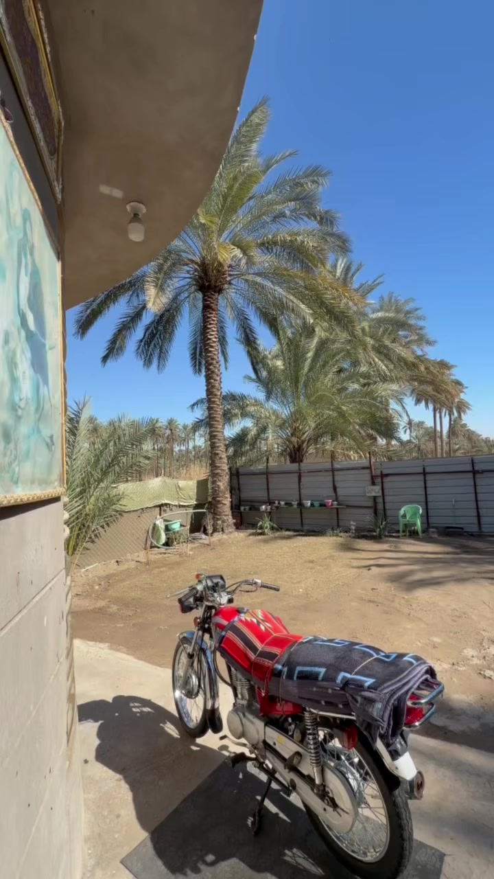 سلام عليكم شباب نامه شلامجه للبيع اوراق اصولي وكيله نوار الباشه مديل ٢٣ مكاني بابل سعر 1400 وبيه مجال ستفسار ***********
