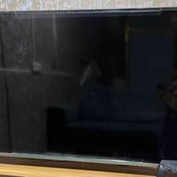 شاشة ٥٥ بوصة • المتين • استخدام شهرين