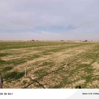 مزرعه للبيع مساحه 50دونم يوجد 600 شيش حديد وكهرباء واصله ومحرك السعر خ...