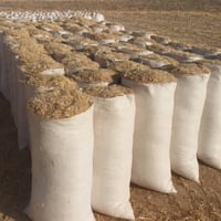 تبن • نضيف • كيس ٥٥