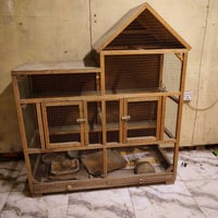 قفص البيع السعر ٧٥ الشراي يتصل 07722528077