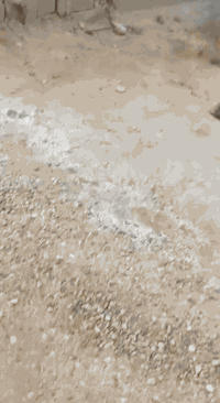 سلام عليكم عندي بيت البيع بل الكرغولية هيكل مساحه ٤٠٠ سند ٢٥ بشارع القريش سعر ١٢٠ وبي مجال يراسني خاص او وتساب ***********
