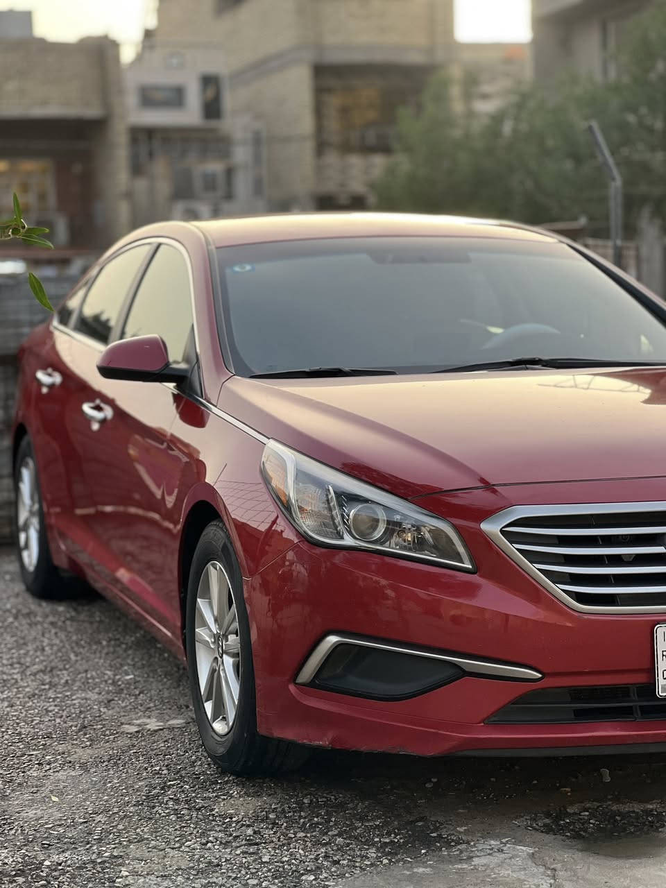 🔴 سوناتا ٢٠١٧ 2️⃣0️⃣1️⃣7️⃣
🔴 وارد امريكي 🇺🇸

  السياره جاهزة من كلشي ونضيفة كلش 

كلين بدون حادث
 

   - شاشه كبيره  🖥️

- كامره دواره 🎥

- تحكم ستيرن جهتين 🎛️

- 3 أنضمه قياده ( ايكو ، سبورت ، اعتيادي ) 

- جنطه كهرباء 

- محرك 2400 

- السعر 133

- مكان السياره 📍بغداد 

- رقم الهاتف

***********

مكان السياره بغداد 🏠
