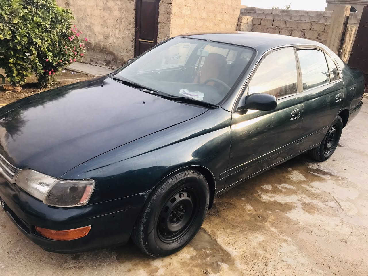 السلام عليكم
فرخ بطه فحص صلاح الدين موديل ٩٣ شرط التحويل
محرك كير شرط ✅
تواير كدام جديد والخلفي نص عمر✅
جوم كهربائيه ✅
كامره ✅
دوشمه وارضيات جديده✅
دهن محرك كير بور كله جديد✅
درايم شفتات بلكات نوزلات كله جديد ✅
السياره مصبوغه عام
السعر٣٤ وبي مجال 
***********
