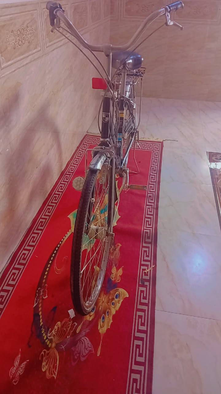 السلام عليكم باسكل لبيع موديل 19صارله خمس تشهر ما نازل من الحاويه هجم 27 نضيف كلش ما متعوب مكاني الدوانيه السعر خاص ❤


**إذا كنت صاحب هذا الإعلان وتريد حذفه لأي سبب، رجاءا أرسل رسالة إلى الدعم الفني**