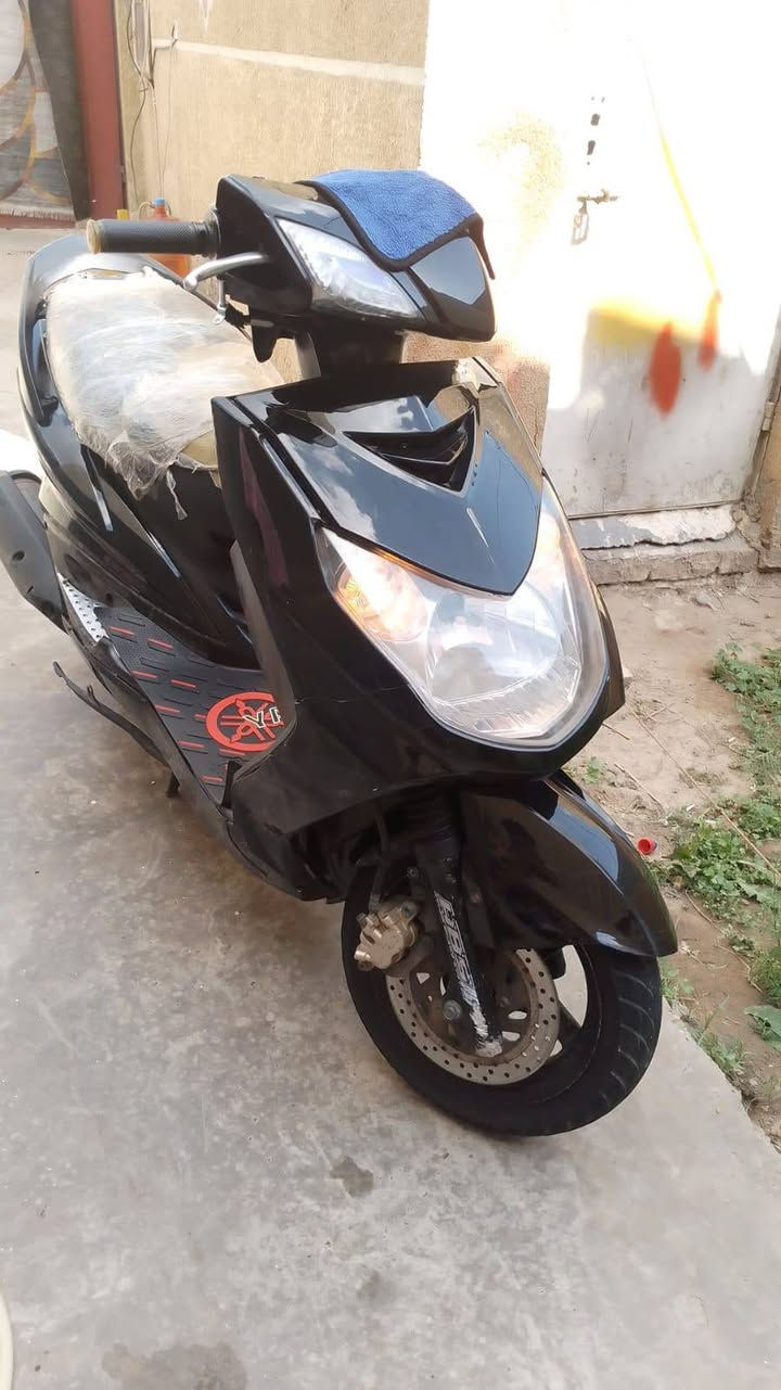 سكنس فحل البيع مكلف بل نشر 600 وبيه مجال ***********
