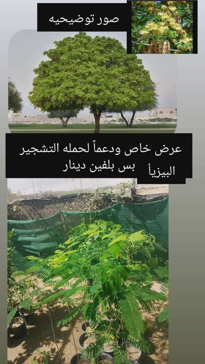 مع انطلاق حملات التشجير لجعل 🇮🇶#العراق_أخضر🌲🌲
حيدر الاكرع للمنظفات والكوزمتك 
يعلن لكم مشتل الانوار 
دعماً لحملات التشجير بتخفيض الأسعار 
👈توفر انوع الأشجار 
الزينه 🌷 والضلية🌲🌳 والمنزلية🪴
📍العنوان 👈الصويرة //الشارع العام قرب مطعم هنداس//مجاور سيراميك ابو زهراء 
👈👈تتوفر خدمة توصيل 🛻🛻


**إذا كنت صاحب هذا الإعلان وتريد حذفه لأي سبب، رجاءا أرسل رسالة إلى الدعم الفني**