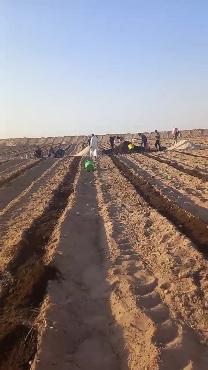 بسعار مناسبه رقمي ***********
