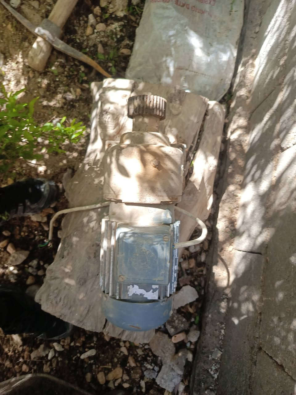 ماطور مكينه للبيع


**إذا كنت صاحب هذا الإعلان وتريد حذفه لأي سبب، رجاءا أرسل رسالة إلى الدعم الفني**