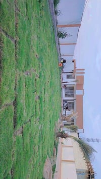 النجف الاشرف • ١٠٠٠م • طابو