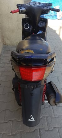 سكنس فحل • سلف • كهربايات معدل