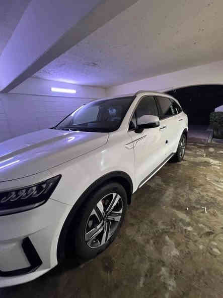 1_سلام عليكم للبيع 
2_كيا سورنتو 2023 ضمان الشركة الدولية كفاله عامه 
3_رقم بغداد بسمي تحويل ثاني يوم
4_عداد 38 الف 
5-كير ماوس 
6_هاندبريك بصمه
7_اوتو هوك
8_نضام منحدرات 
9_حساسات مامي اخلفي 
10_كامرا خلفية
11_جنطة كهرباء 
12_7 راكب
13_3 قطع تبريد
‏14_6V
15_تخم تاير 
16_بردات خلفيه
17_انضمة قيادة
18_فول تحكم ستيرن وشفتات
19_شحن لاسلكي 
20_شاشه ابل كار بلي
21_مرايات اوتو 
22_يدات كروم واضائه
23_وبقية المواصفات معروفه 
24_السيارة بوضع الشركة جديدة جداً 
25_اخوان الشراي يتصل وبالخدمه 
26_سعرها 300 ورقة وبيها مجال الطيبن
مكاني بغداد الرصافة
الاستفسار اكثر 
‏‭0771 184 6081‬
