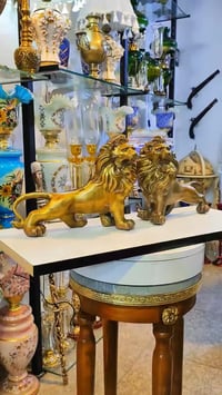 اسدين • ٣٠ سم • ٢ كلغم