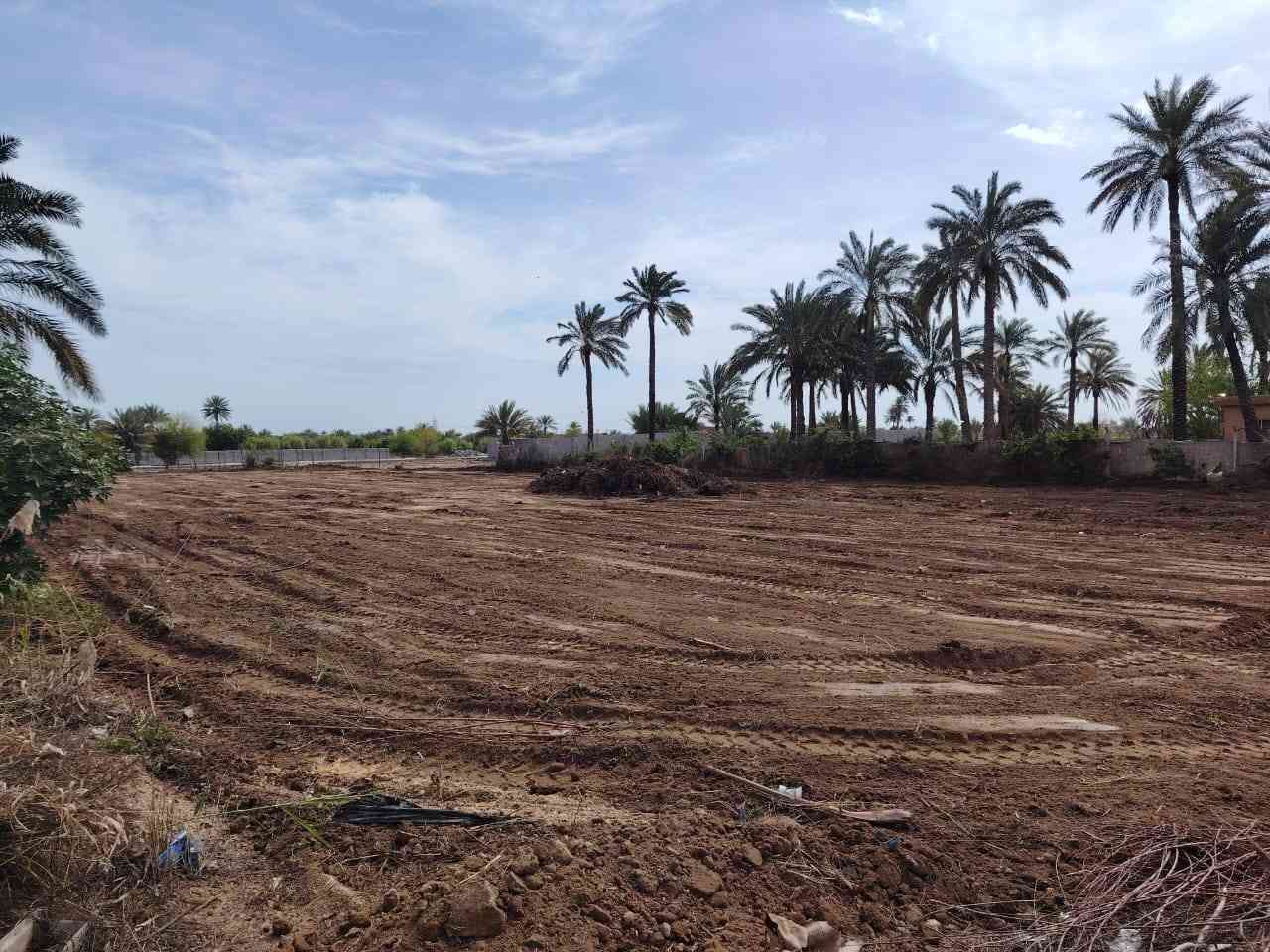 سلام عليكم 
آرض زراعية طابو سند (25) 
المساحة 4000متر مربع 
الواجهة 30م والنزال 100م
خدمات كافة
(ماء_كهرباء_تبليط) 
بالقرب من مجمع الزمرد او مدرسة العليمية الابتدائية
بالقرب من نهر دجله تعبد 500م عن النهر 
تحويل مباشر 
الاتصال على صاحب الارض او الاستفسار
*********** مصطفى قيصر.
