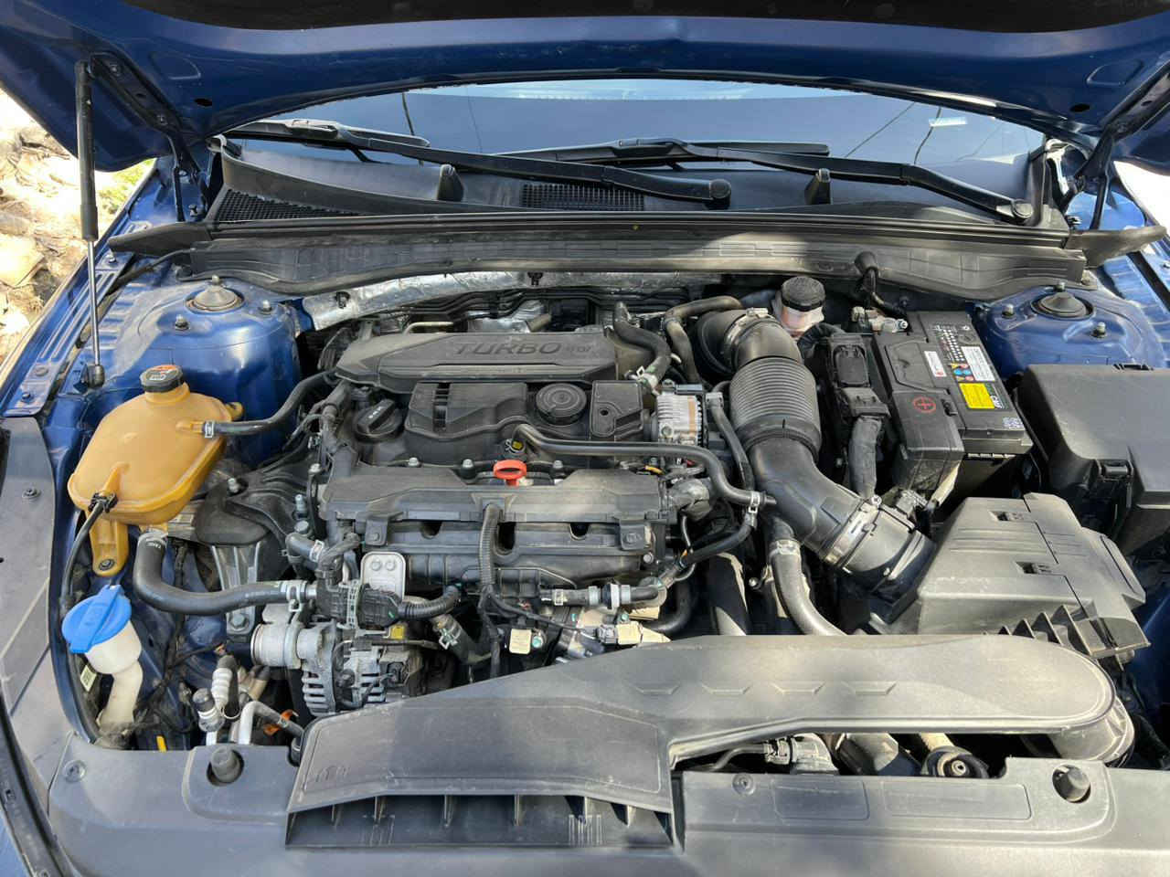 سلام عليكم K5 موديل  2024 أمريكية حادثة موضح بصور بدون صبغ شوية بحافت البنيد
مواصفات الجيتي معروفة 
فول مواصفات بدون فتحة 
بصمة 
تشغل عن بعد 
كشنات كهربائية تفة تبريد كشنات 
رادار أمامي خلفي 
تبريد قطعتين 
رقم بغداد بسمي تحويل ثاني يوم 
السيارة بديالى بعقوبة 
***********
